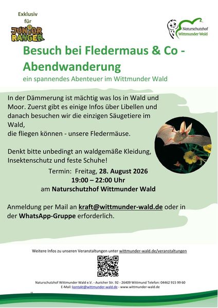 Besuch bei Fledermaus & Co - Abendwanderung